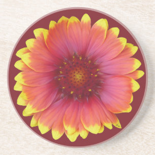 Gaillardia 1 coaster