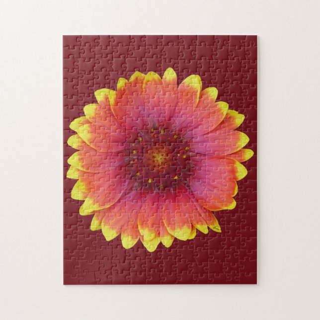 Gaillardia 1 jigsaw puzzle (Vertical)