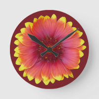Gaillardia 1