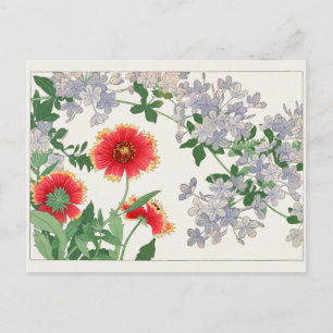 Gaillardia, Plumbago by Tanigami Konan Postcard