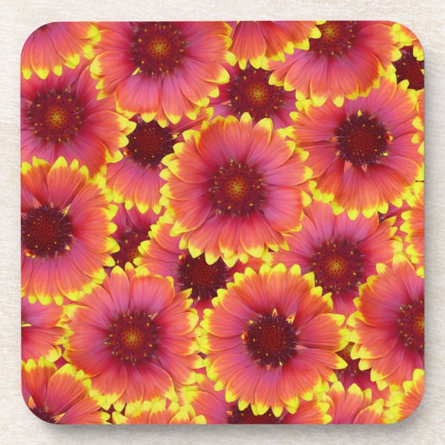 Gaillardia Seamless Pattern Coaster (Front)