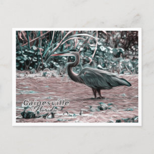 GAINESVILLE FLORIDA POSTCARD