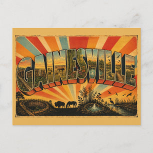 Gainesville Florida Prairie Gardens Springs  Postcard