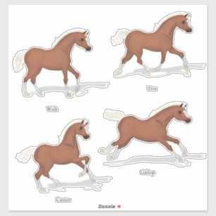 Gaits of the Horse Sorrel Foal Horsemanship