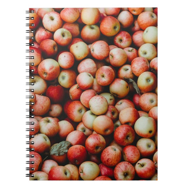 GALA APPLES NOTEBOOK (Front)