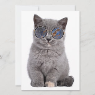 Galactic Gaze The Stellar Kitty in Sunglasses