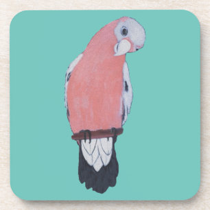 Galah Aqua Coaster
