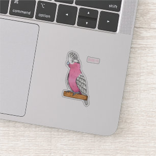 Galah bird cartoon illustration 