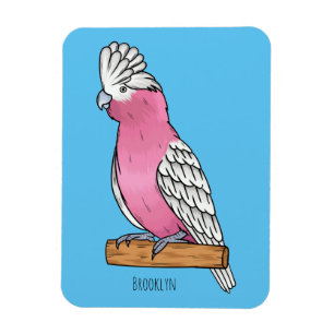 Galah bird cartoon illustration magnet