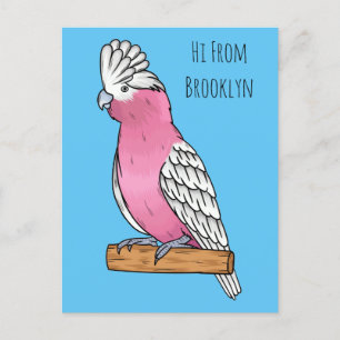 Galah bird cartoon illustration postcard