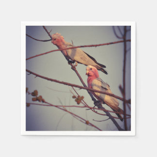 Galah birds in tree2 napkin