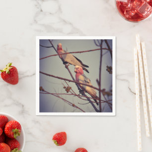 Galah birds in tree 1 napkin