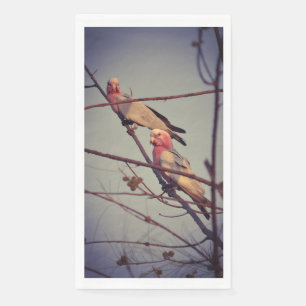 Galah birds in tree 1 napkin