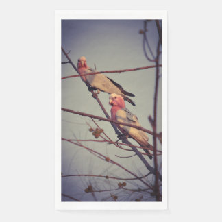 Galah birds in tree 1 napkin