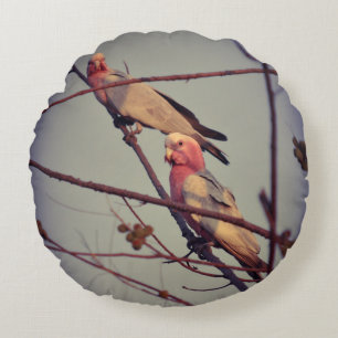 Galah birds in tree 1 round cushion