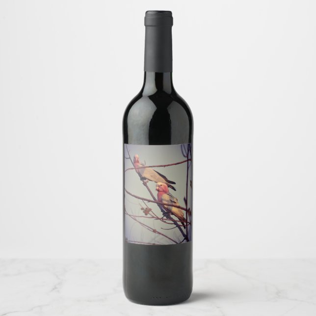 Galah birds in tree 1 wine label (Front)