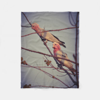 Galah birds in tree 2 fleece blanket