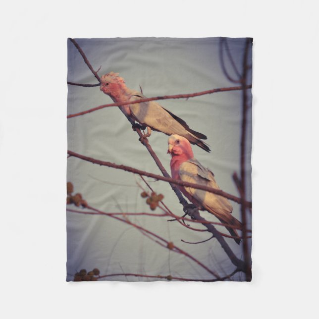 Galah birds in tree 2 fleece blanket (Front)