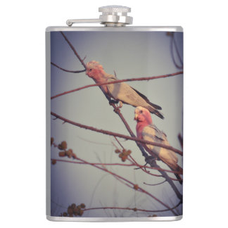 Galah birds in tree 2 hip flask