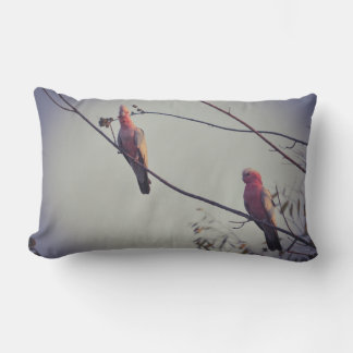 Galah birds in tree 3 lumbar cushion