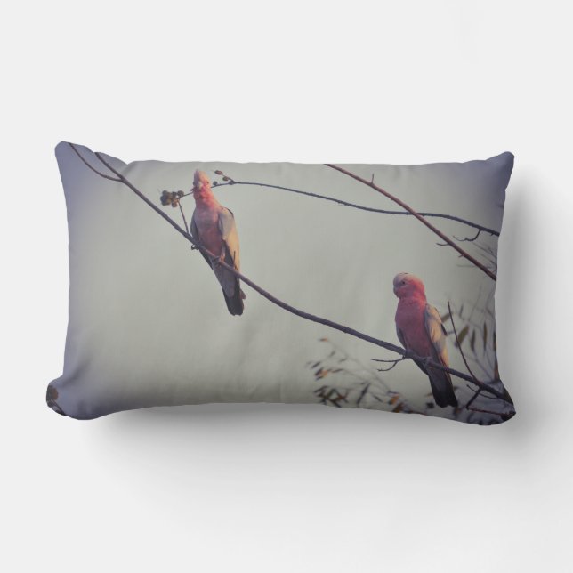 Galah birds in tree 3 lumbar cushion (Front)