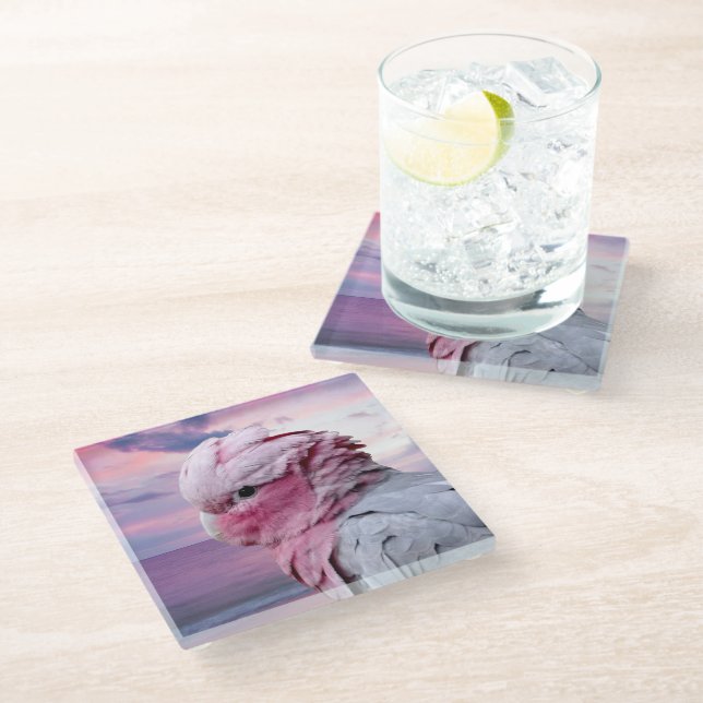 Galah Cockatoo Glass Coaster (Angled)