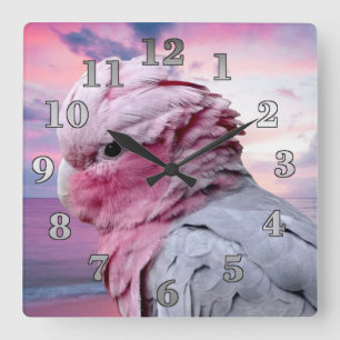Galah Cockatoo Square Wall Clock