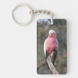 Galah  key ring