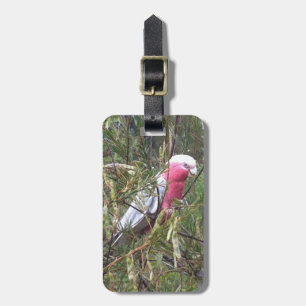 Galah Luggage Tag