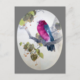 Galah on the Jpanese Linden Branch, Seitei Postcard