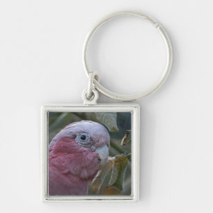 Galah or Rose-breasted Cockatoo Key Ring