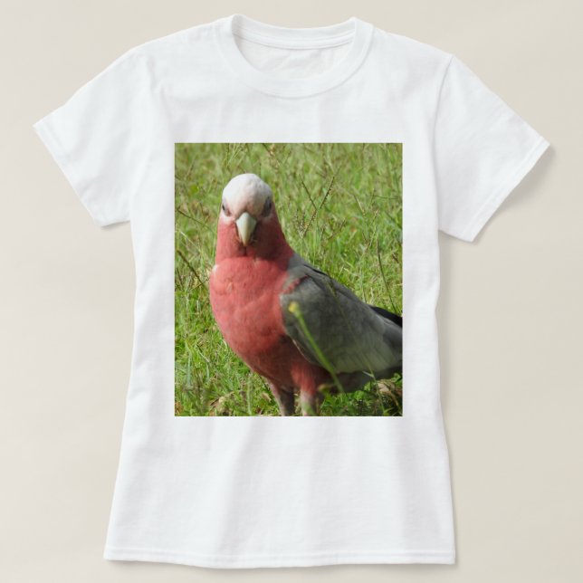 Galah T-Shirt (Design Front)