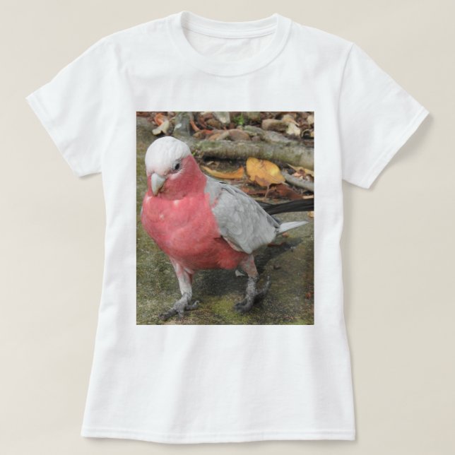 Galah T-Shirt (Design Front)