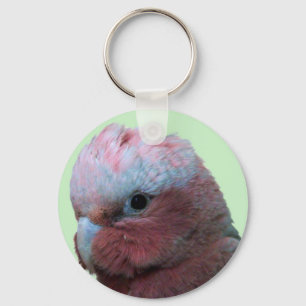 Galah Wildlife key Chain