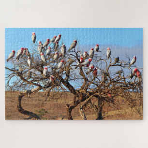 Galahs, Outback Australia  Jigsaw Puzzle