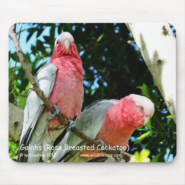 Galahs (Rose Breasted Cockatoo) Mouse Pad (Front)