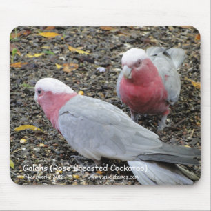 Galahs (Rose Breasted Cockatoo) Mouse Pad