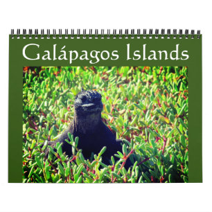 galapagos animals 2027 calendar