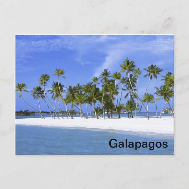 Galapagos - beach postcard (Front)