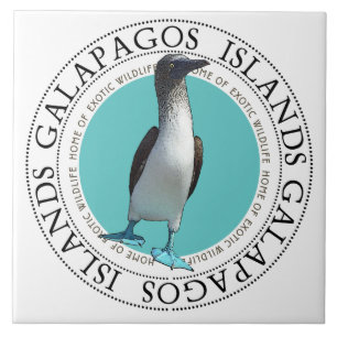 Galapagos Blue Footed Bird Ceramic Tile