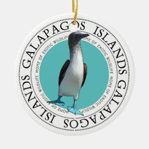 Galapagos Blue Footed Booby Ceramic Ornament