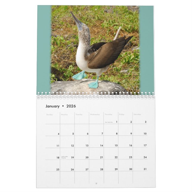 Galapagos! Calendar (Jan 2026)