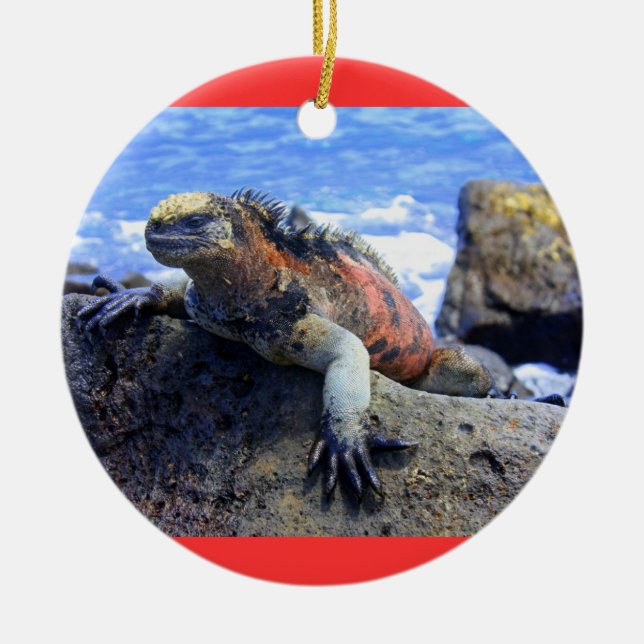 Galapagos Ceramic Tree Decoration (Front)