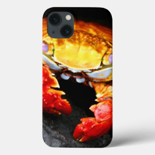 Galapagos Crab iPhone 13 Case