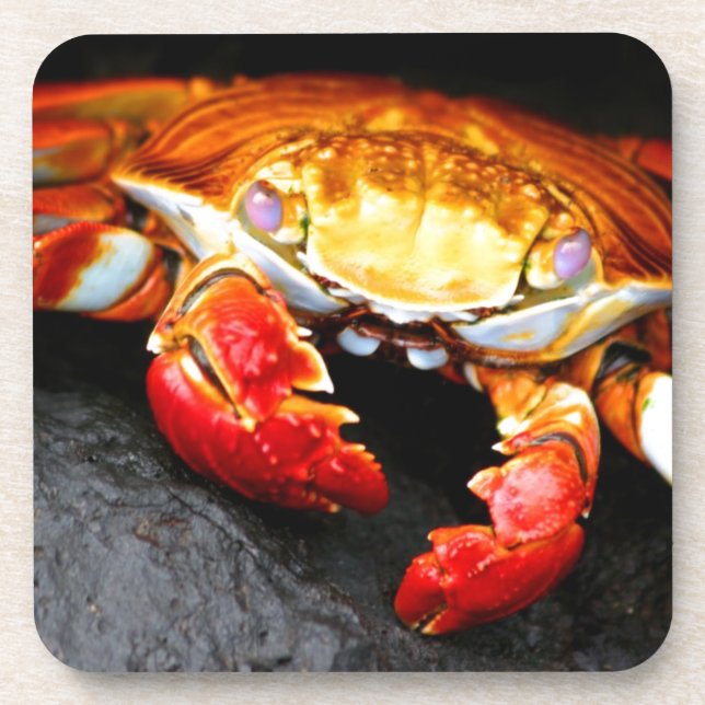 Galapagos Crab Coaster (Front)