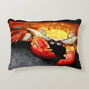 Galapagos Crab Decorative Cushion