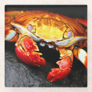 Galapagos Crab Glass Coaster