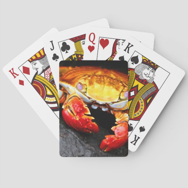 Galapagos Crab Playing Cards (Back)