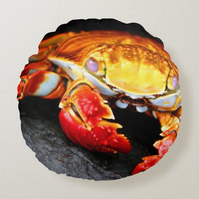 Galapagos Crab Round Cushion (Front)