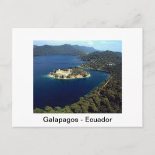 Galapagos - Ecuador Postcard